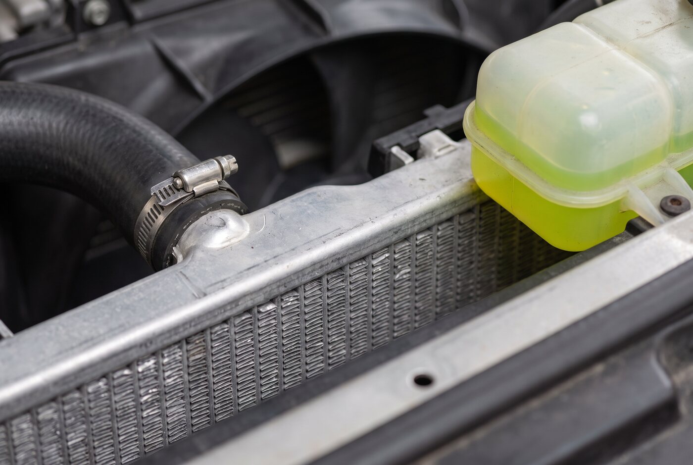 Close-up of a radiator core, hose and clamp in a vehicle cooling system
